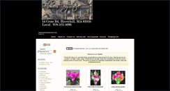 Desktop Screenshot of flowersbysteveinc.com